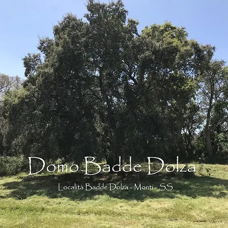 Domo Badde Dolza *